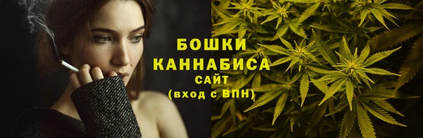 PSILOCYBIN Абаза
