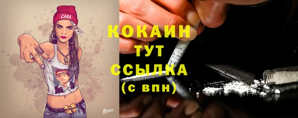 ешки Алексин