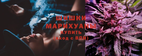 PSILOCYBIN Абаза