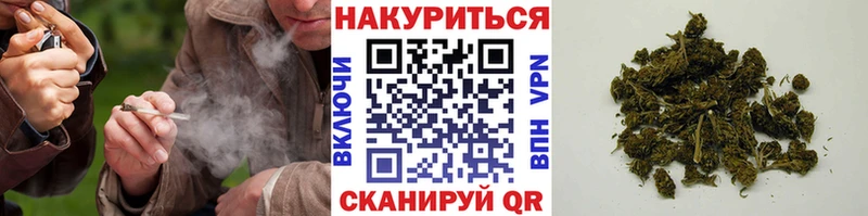 где купить наркоту  Новочебоксарск  Бошки Шишки VHQ 